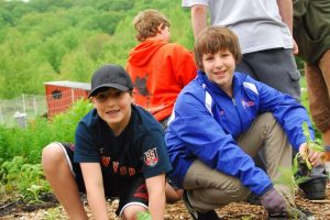 A Synagogue in the Woods: Bringing nature into our 21st Century synagogue and bringing our 21st Century Synagogue into nature