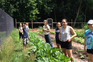 What is Abundance Farm?