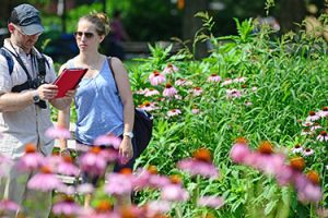 It’s All Fun and Games: How Digital Innovation, Social Justice, and Partnerships Yield a Curriculum for the Ages