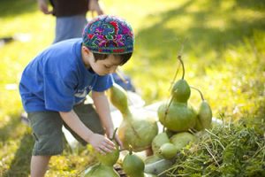 Advancing Jewish Social Justice and Environmental Action: Lessons Learned from Covenant Grantees