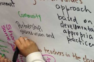 Nurturing and Networking the Seeds of Excellence: A Flexible, Cost-Effective, Blended-Learning Approach to Systemic Change in Jewish Early Childhood Education