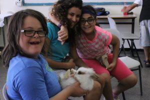 Thinking [W]holistically about Inclusion: A View from Jerusalem