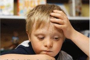 Teacher Training for V’Khol Banayikh: Jewish Education for All