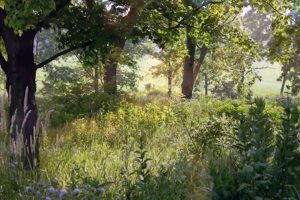 Looking Back and Looking Forward: A Reflection from Ellen Bernstein, on Tu B’Shevat