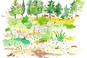 The Essentiality of Love in Jewish Education