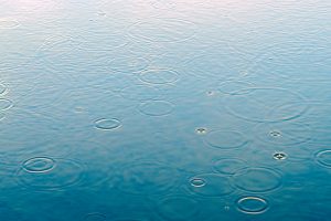 Be Squirrel Hill: Reflections on What We Can Learn About Being Inclusive, Being Upstanders, Embracing One Another