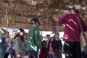 Sight Line Volume XI: Built On the Roots of Tradition – New Models in Jewish Supplementary Education